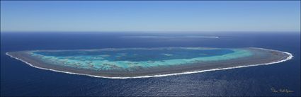 Llewellyn Reef - QLD (PBH4 00 18378)